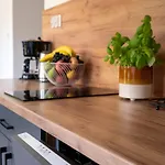 Krzywa 8, Wanna Z Hydromasazem, Basen Zewnetrzny Apartman *