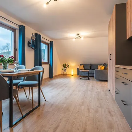 Krzywa 8, Wanna Z Hydromasazem, Basen Zewnetrzny Apartment Wisla