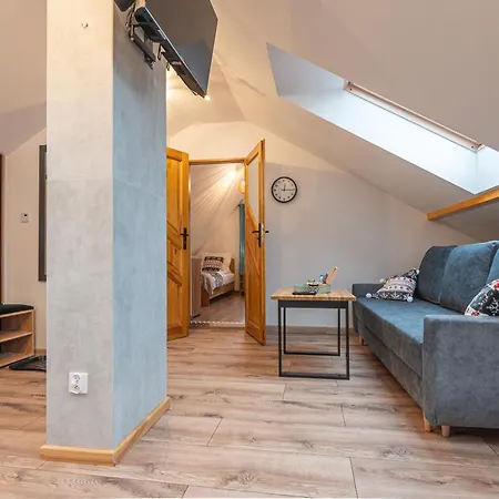 Krzywa 8, Wanna Z Hydromasazem, Basen Zewnetrzny Apartment Weichsel