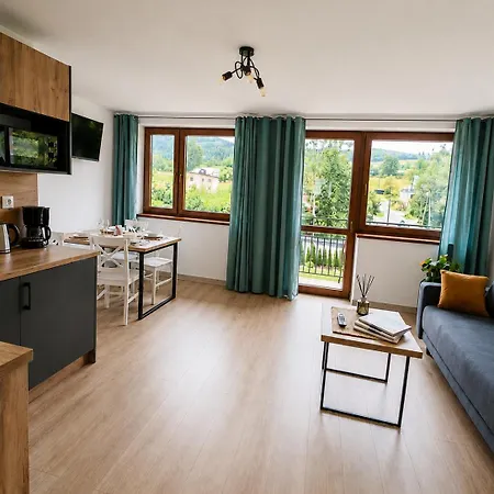 Krzywa 8, Wanna Z Hydromasażem, Basen Zewnętrzny Apartament Wisła