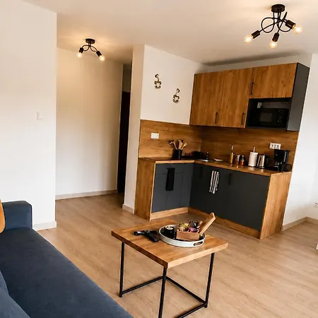 Krzywa 8, Wanna Z Hydromasażem, Basen Zewnętrzny Apartament Wisła